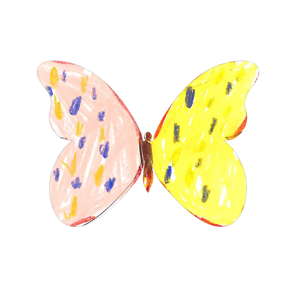 Original Butterfly Image