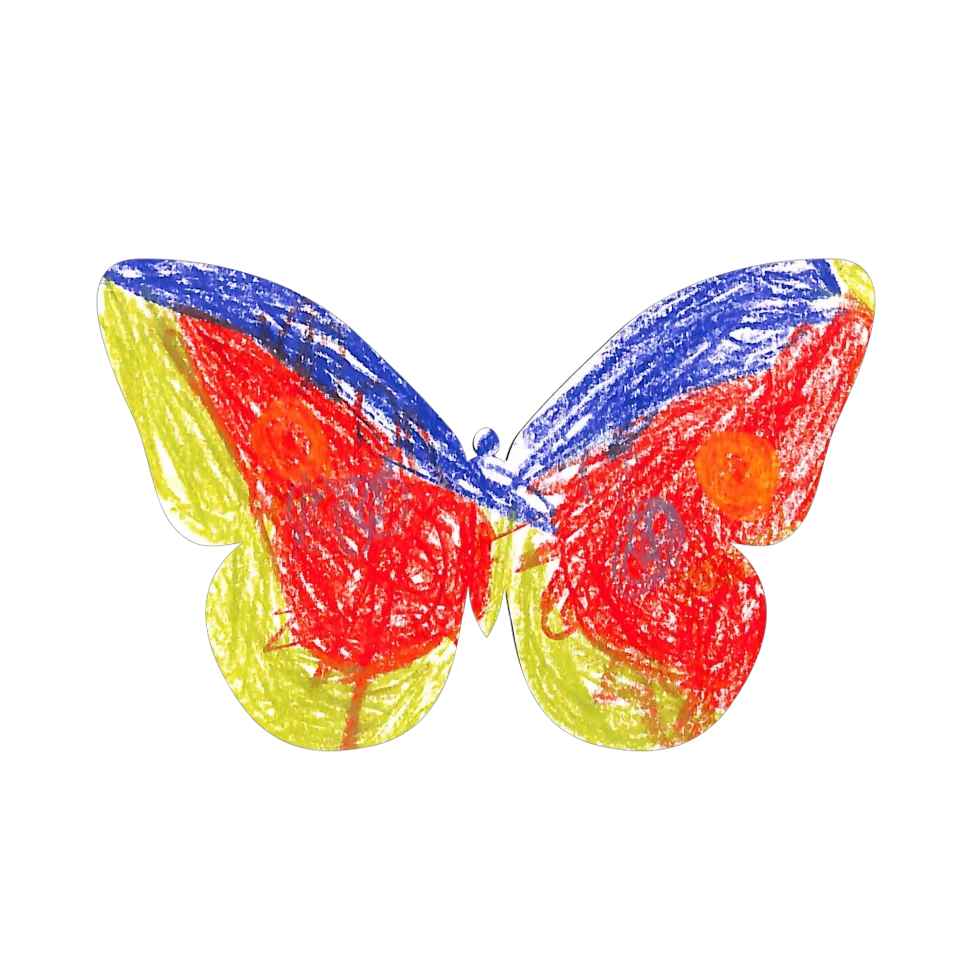 Original Butterfly Image