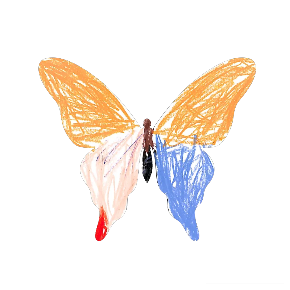 Original Butterfly Image