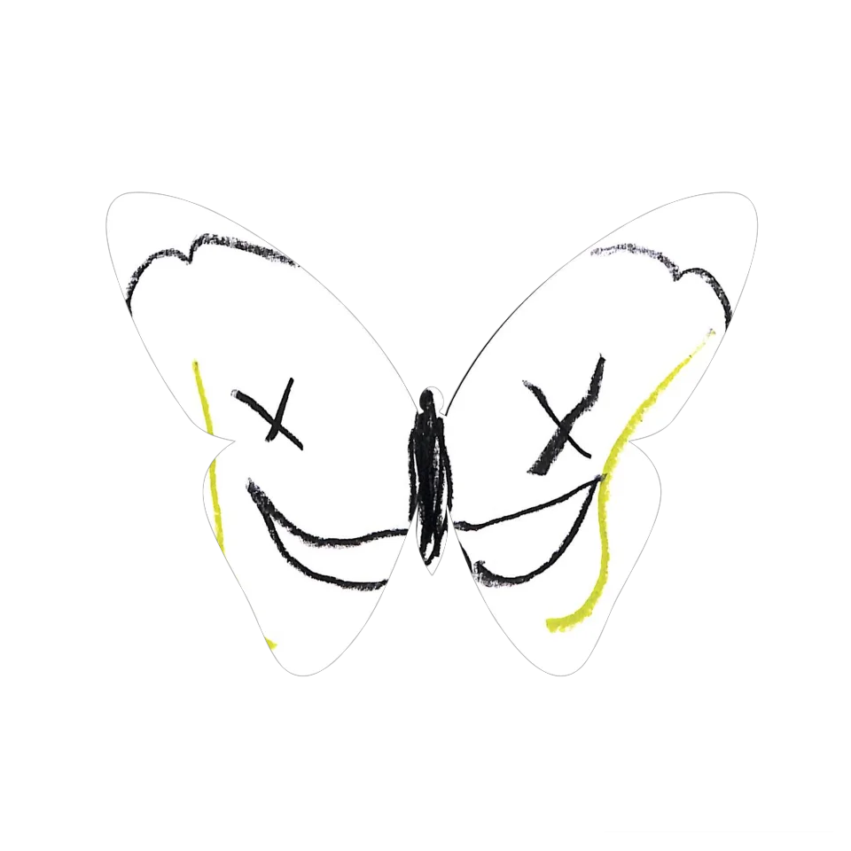 Original Butterfly Image