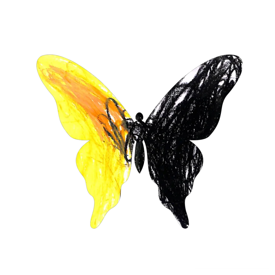Original Butterfly Image