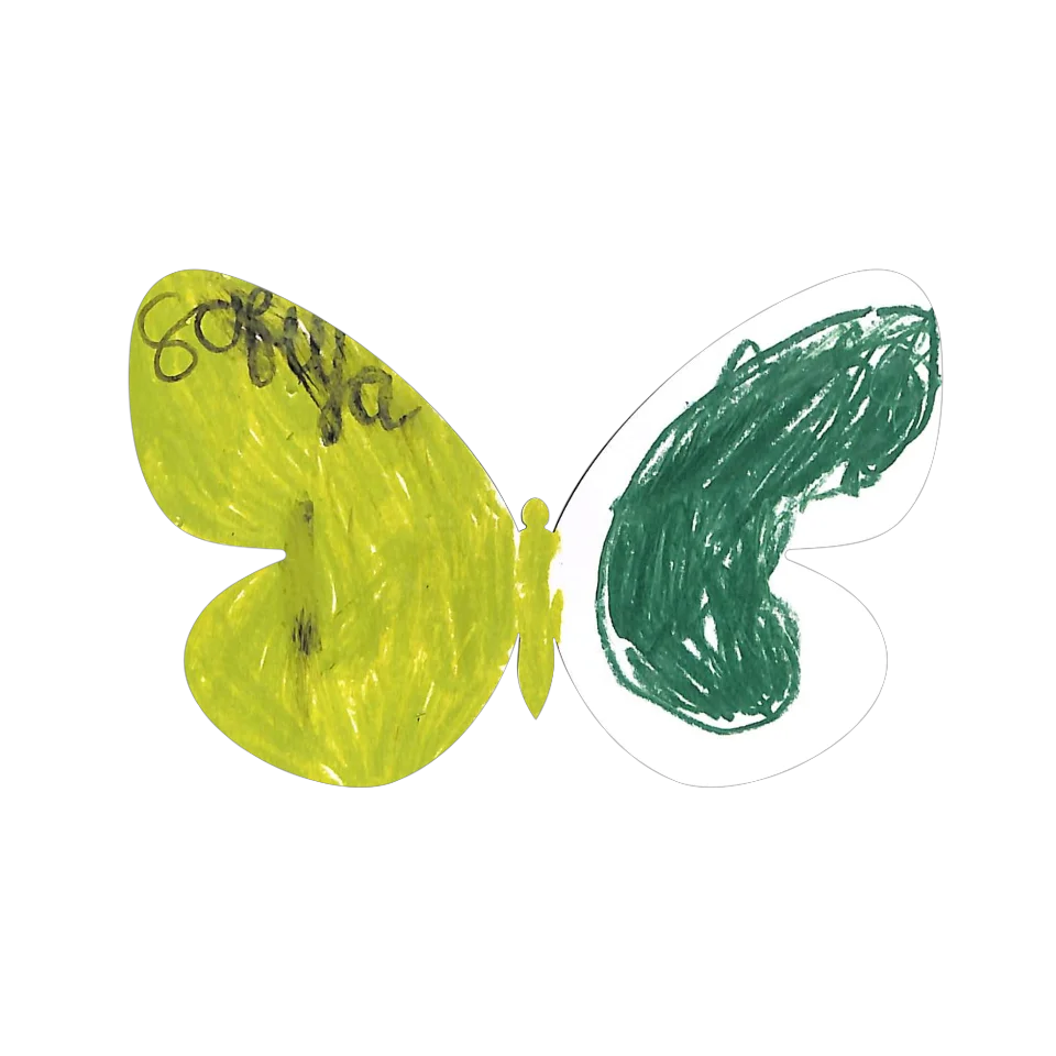 Original Butterfly Image