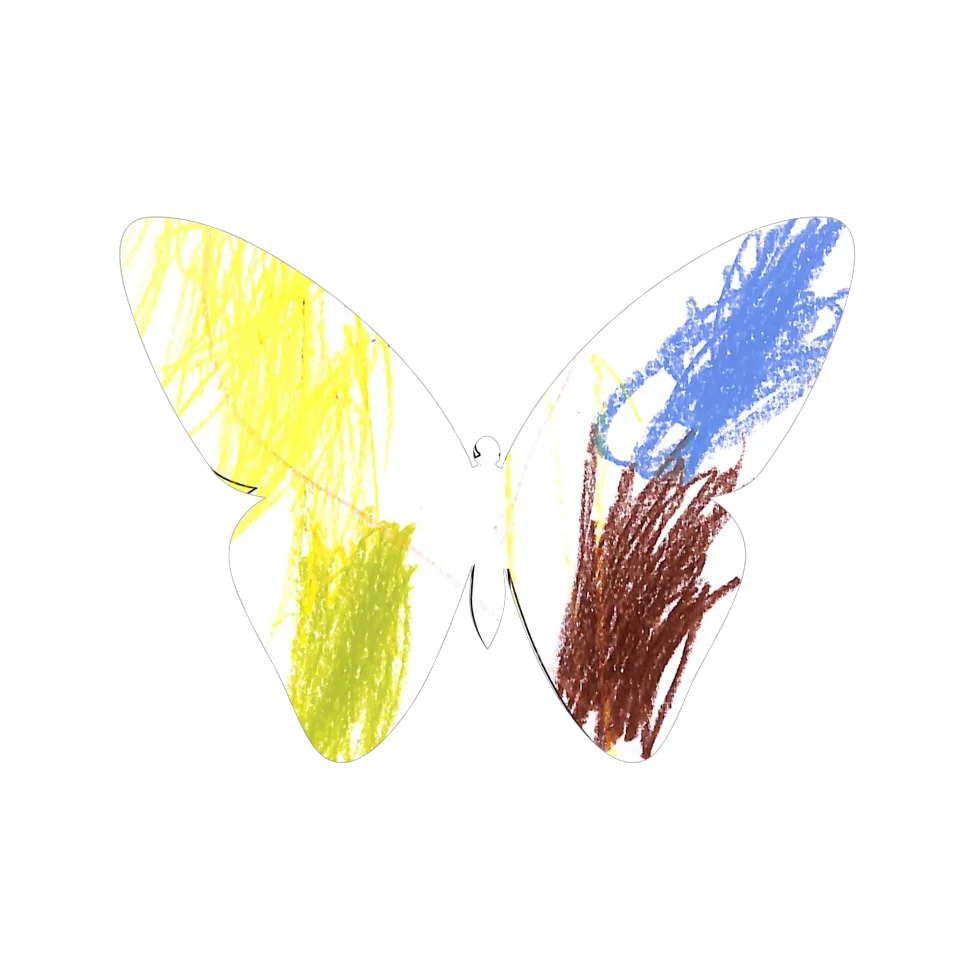 Original Butterfly Image