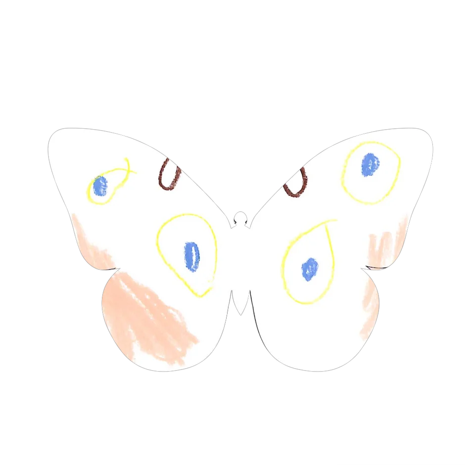 Original Butterfly Image