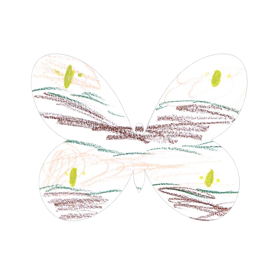 Original Butterfly Image