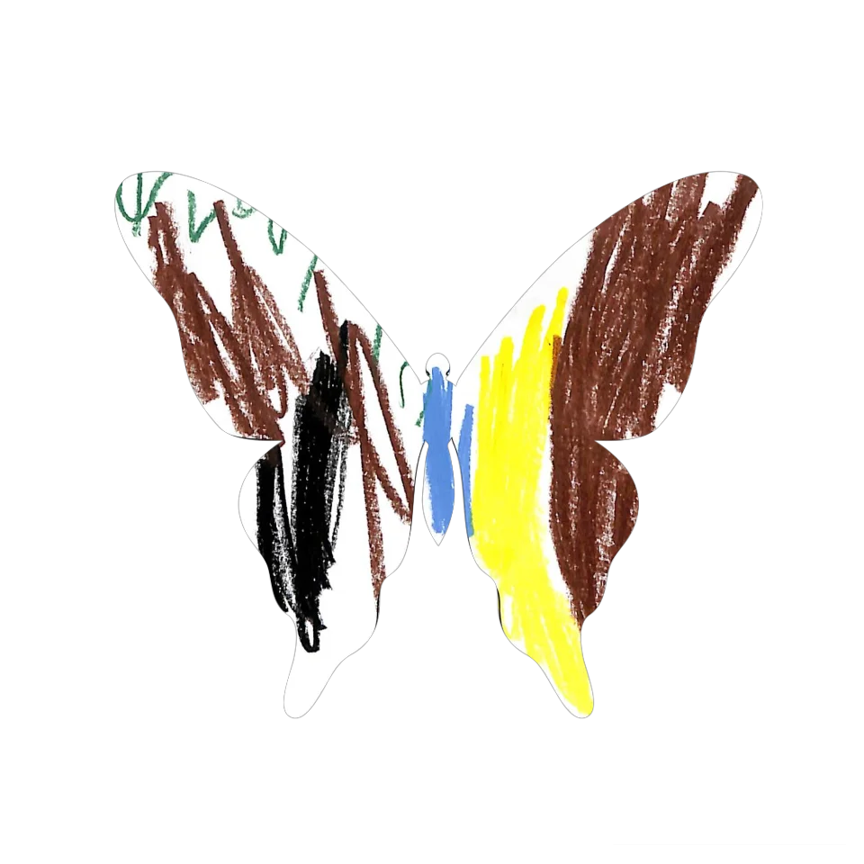 Original Butterfly Image