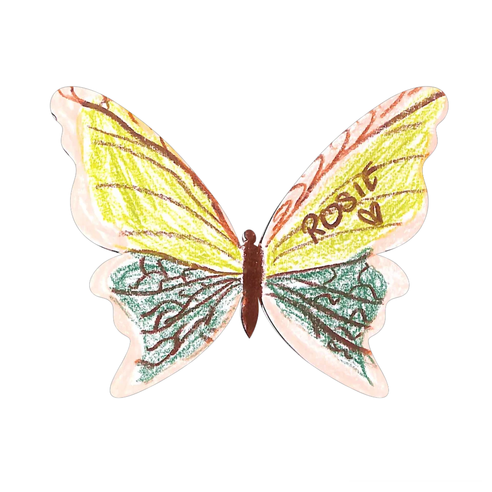Original Butterfly Image