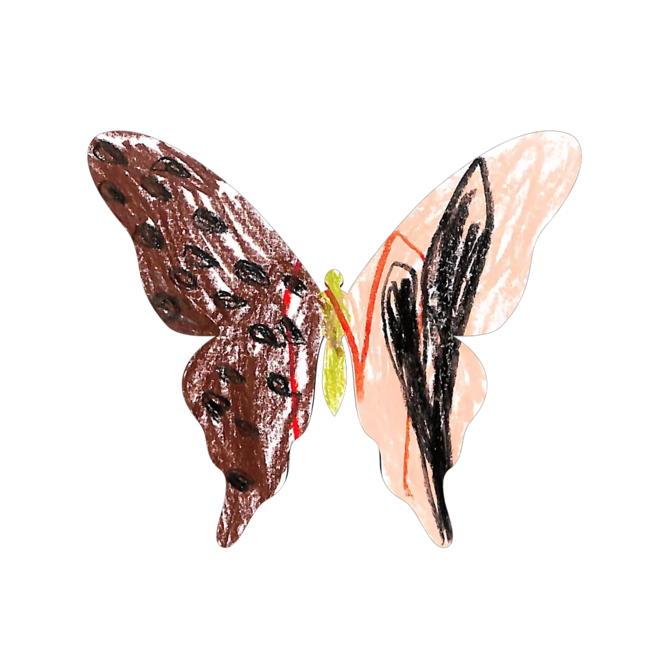 Original Butterfly Image