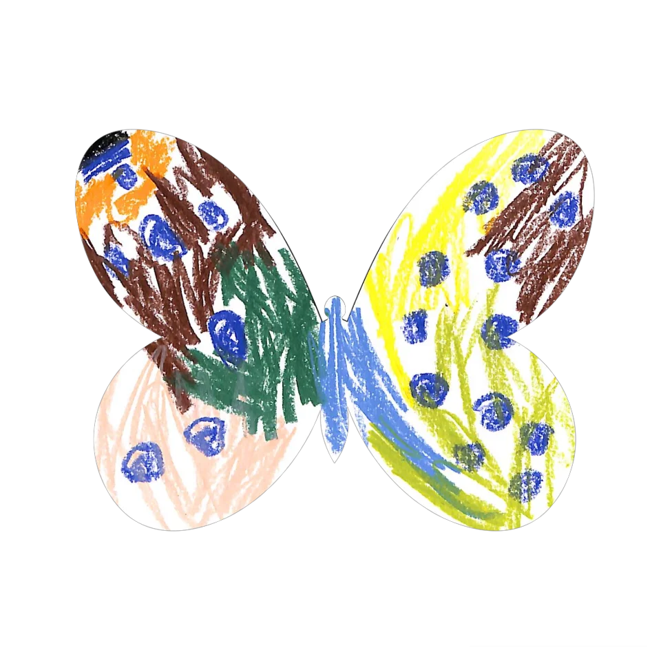 Original Butterfly Image