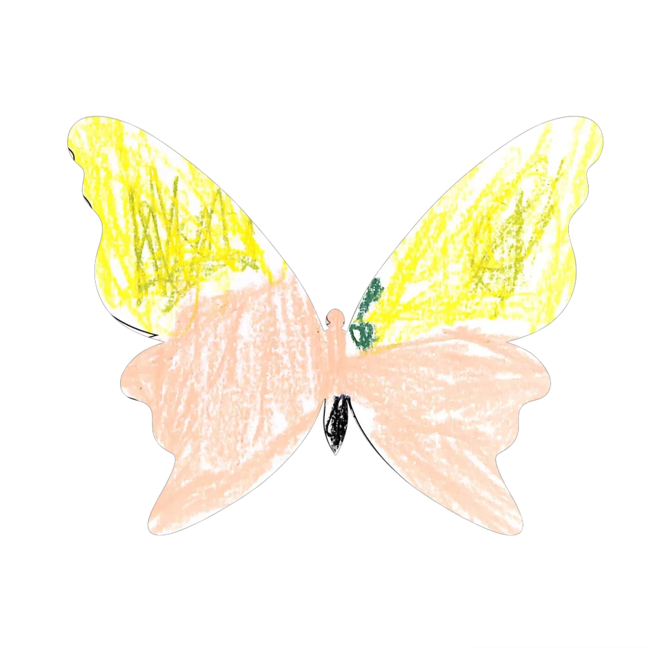Original Butterfly Image