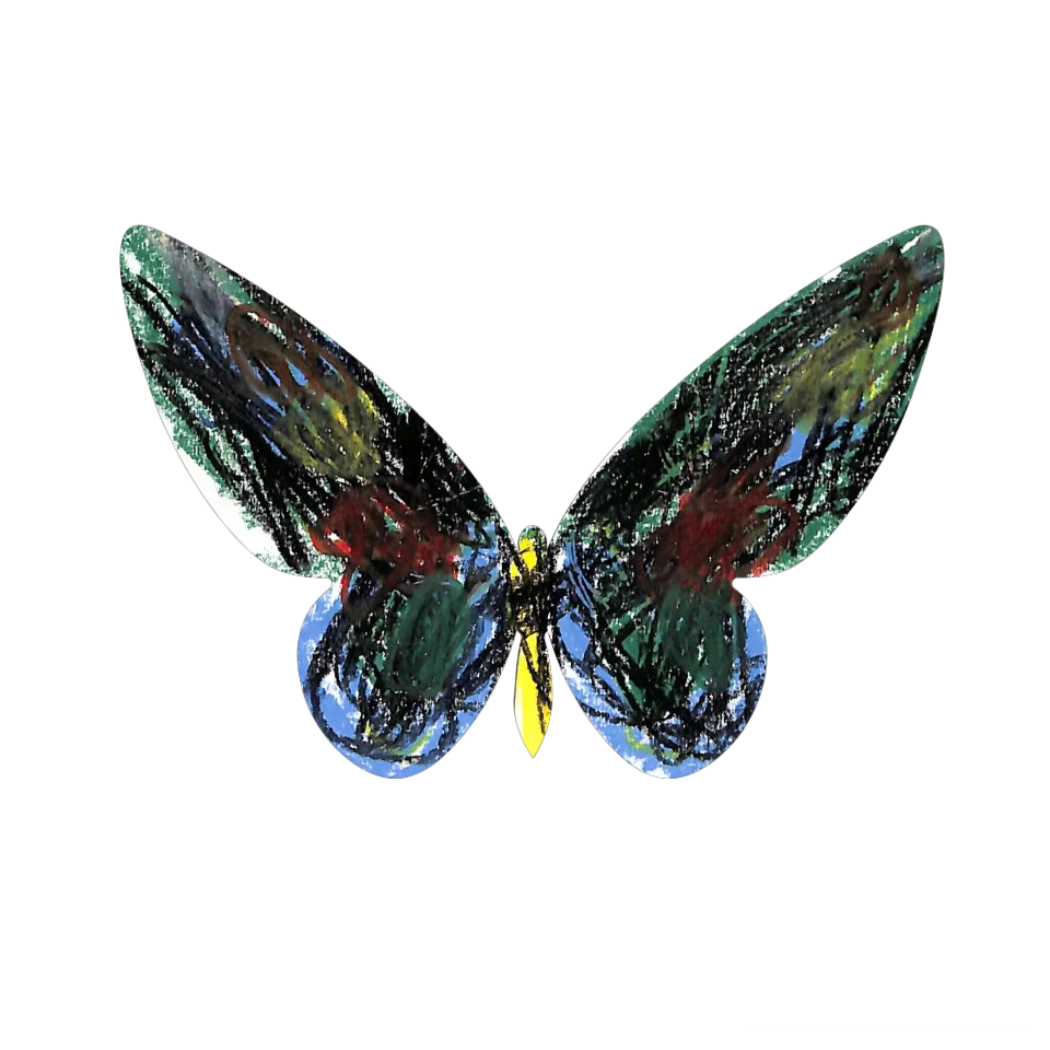 Original Butterfly Image