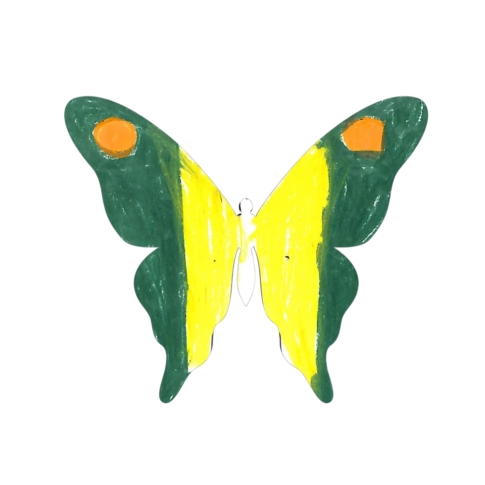 Original Butterfly Image