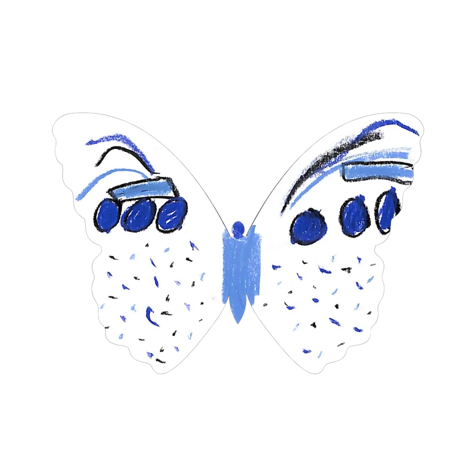 Original Butterfly Image