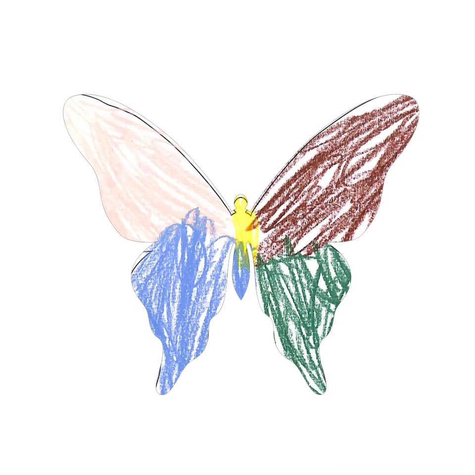 Original Butterfly Image
