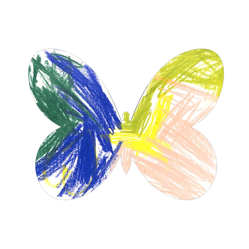 Original Butterfly Image