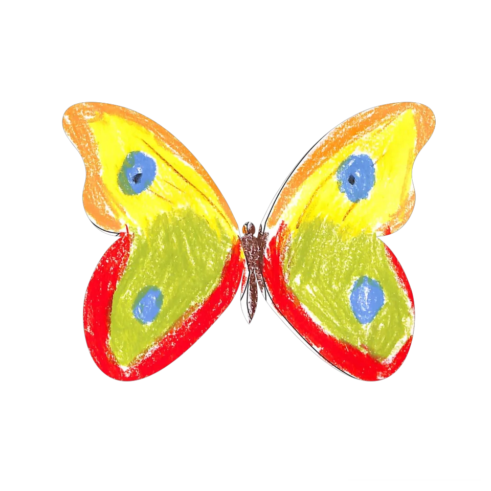 Original Butterfly Image