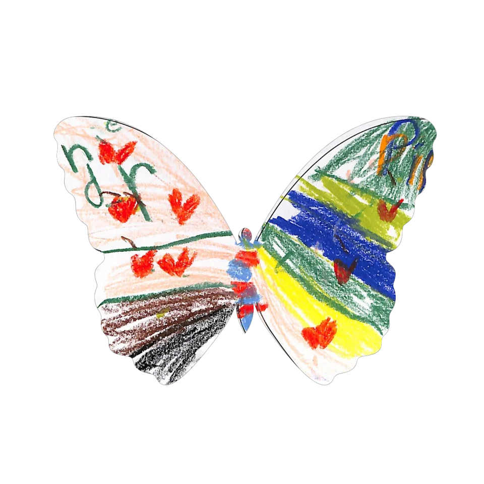 Original Butterfly Image