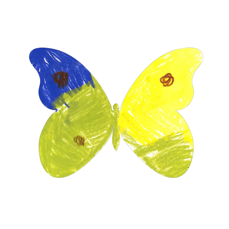 Original Butterfly Image