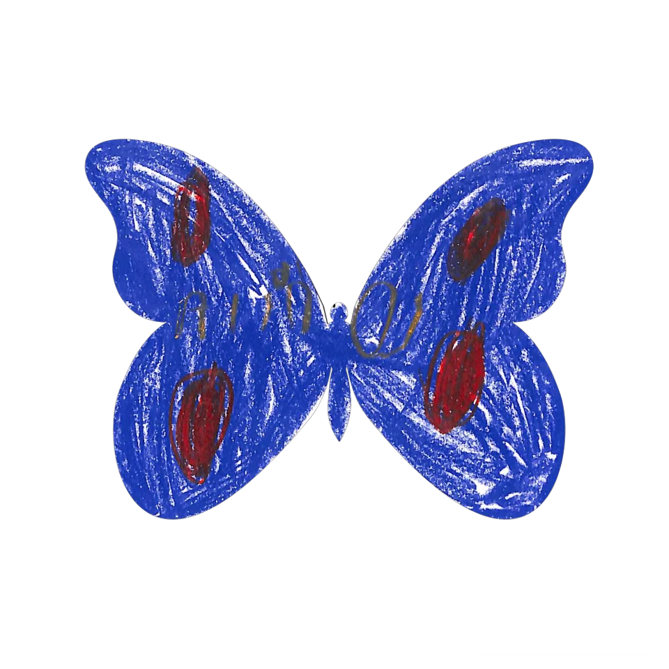 Original Butterfly Image