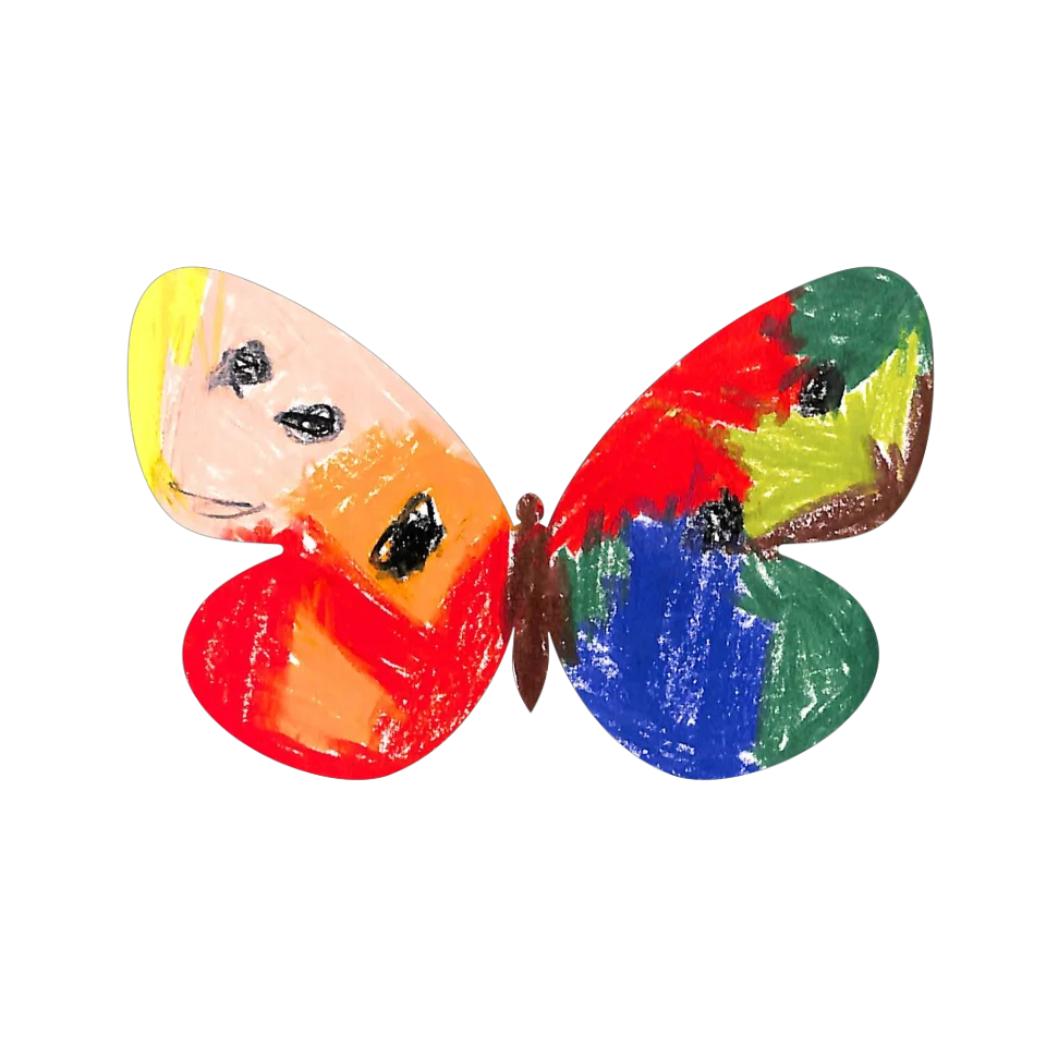 Original Butterfly Image