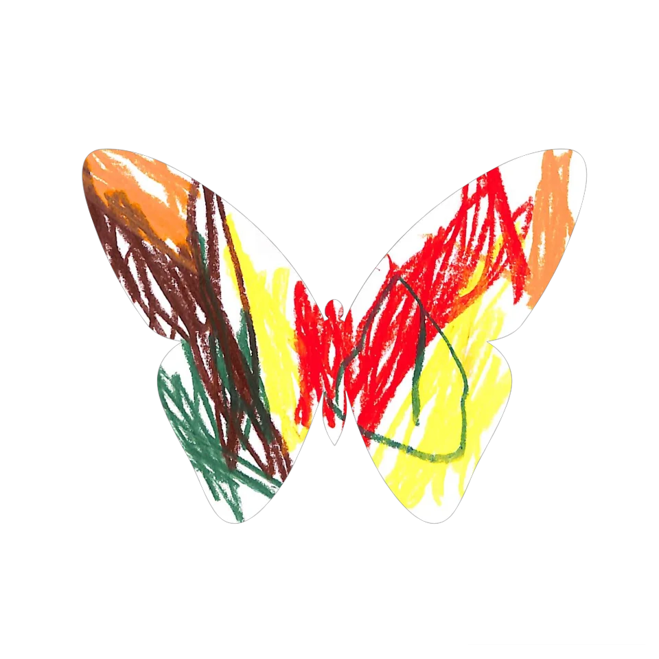 Original Butterfly Image