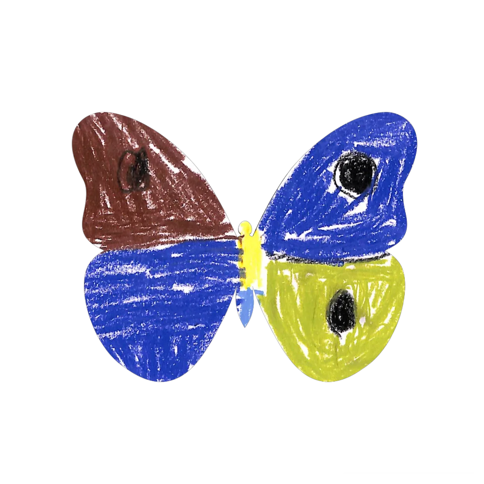 Original Butterfly Image