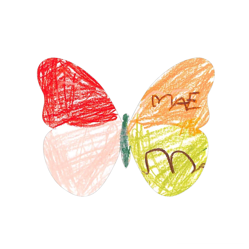 Original Butterfly Image