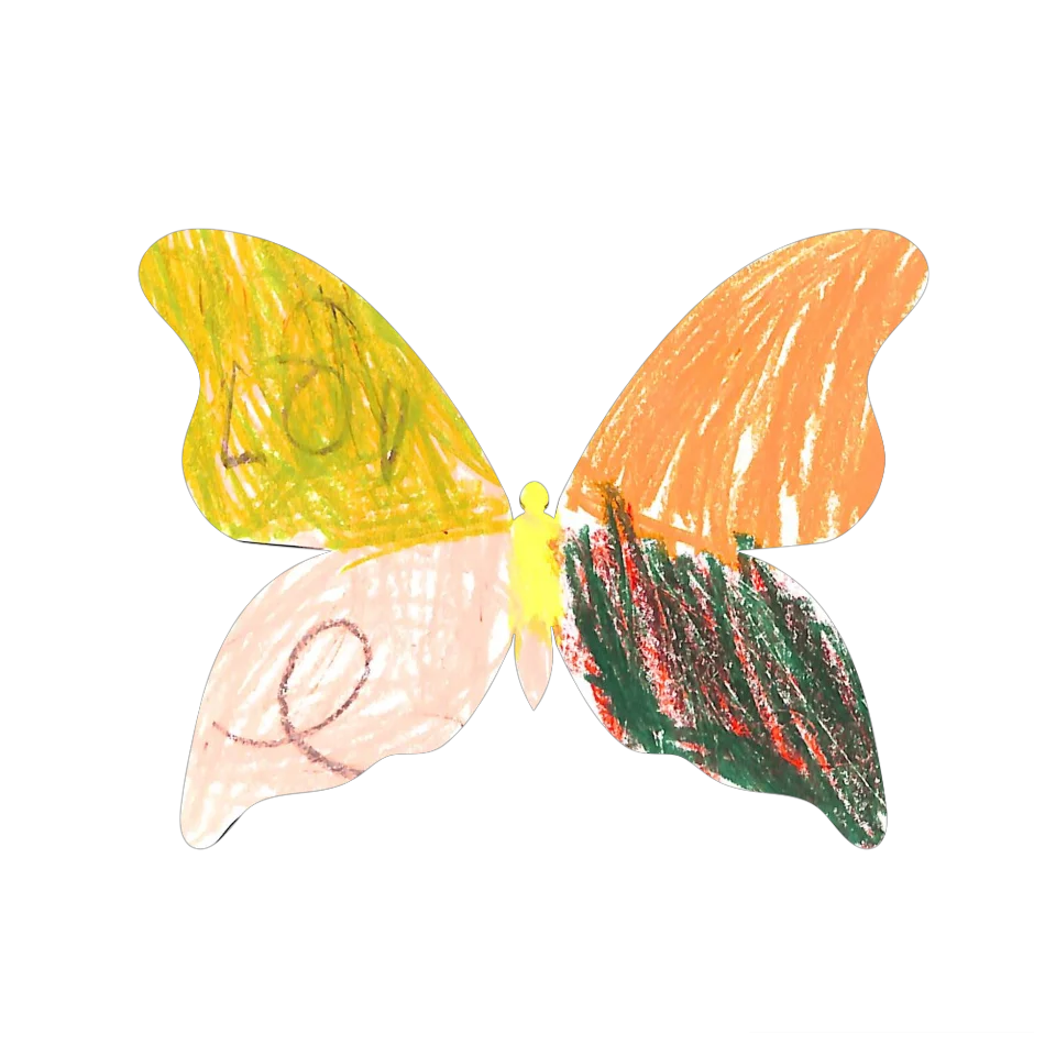 Original Butterfly Image