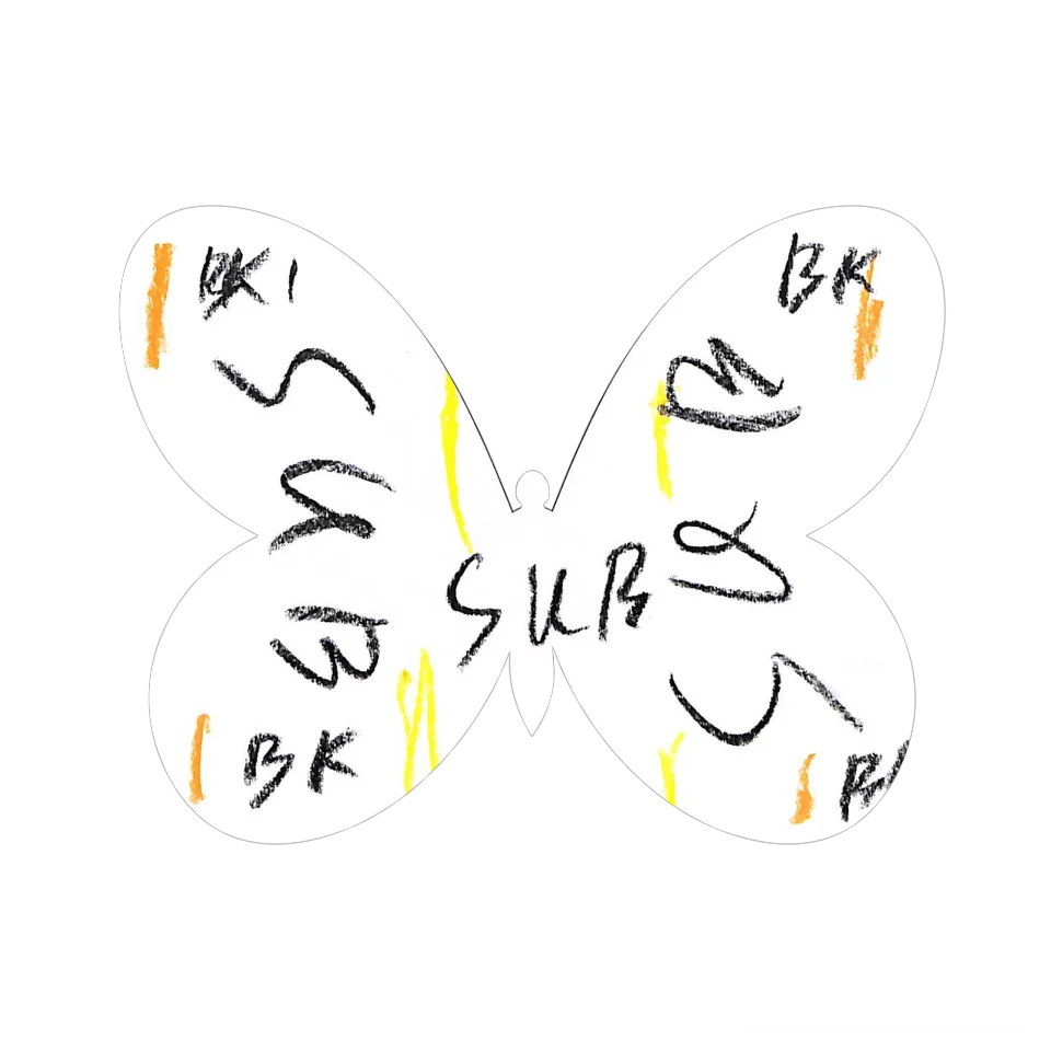Original Butterfly Image