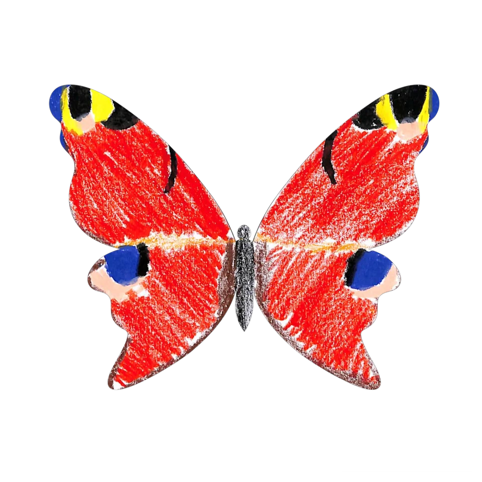 Original Butterfly Image