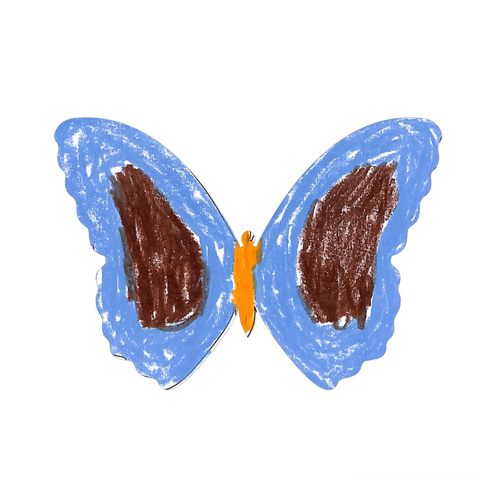 Original Butterfly Image