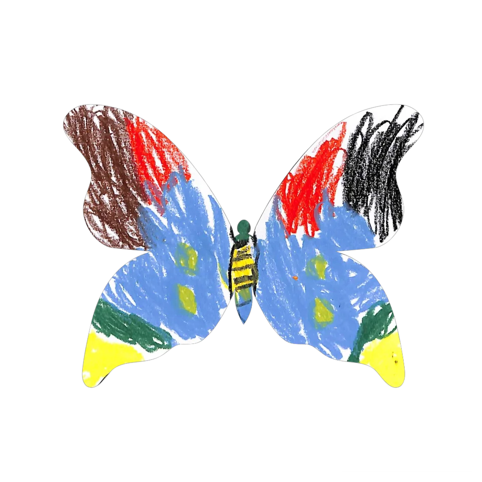 Original Butterfly Image
