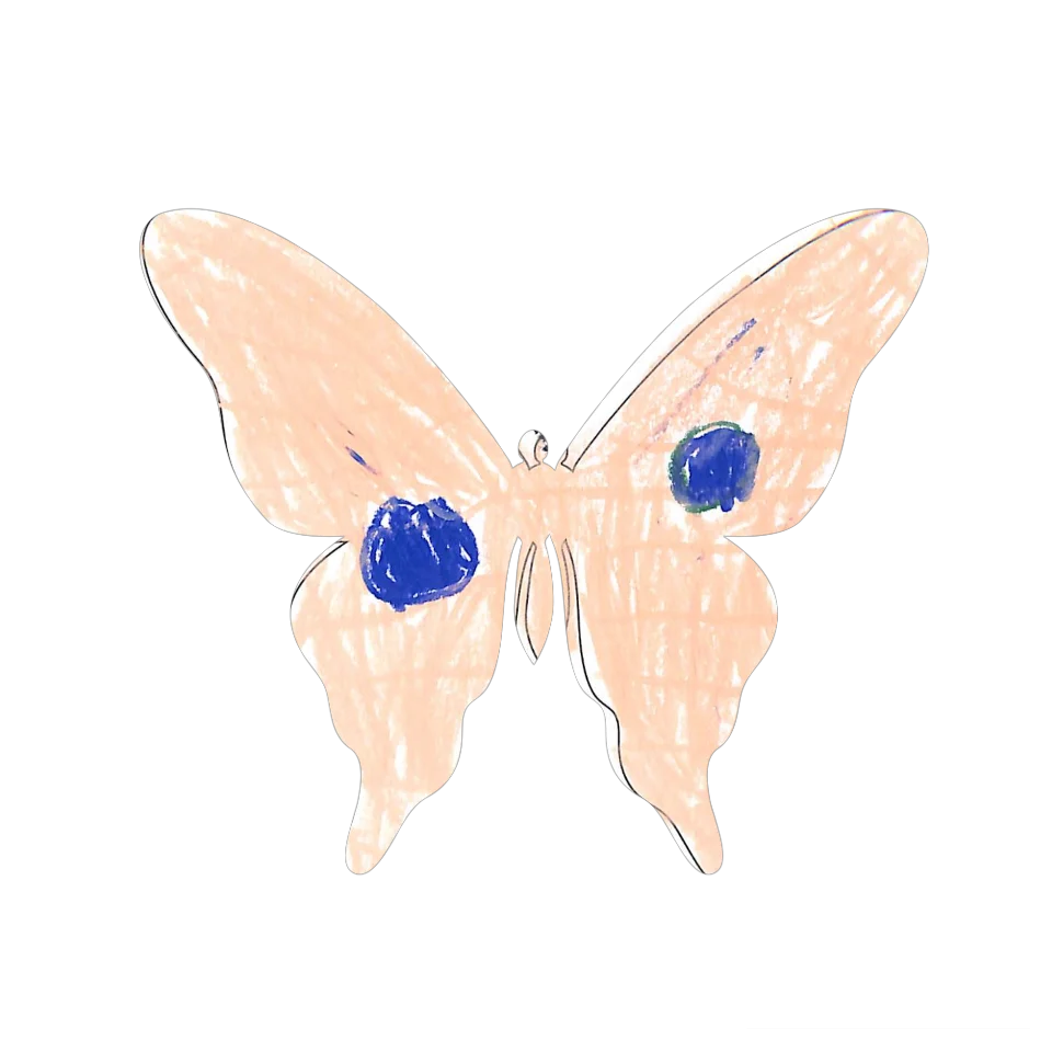 Original Butterfly Image