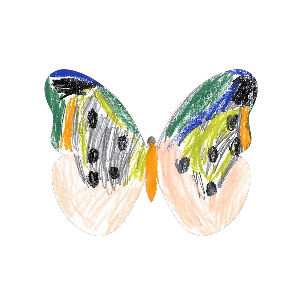 Original Butterfly Image