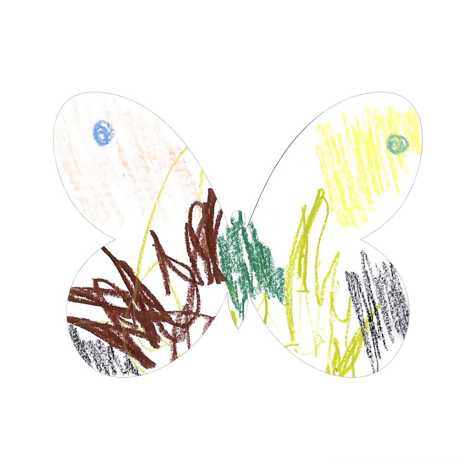 Original Butterfly Image