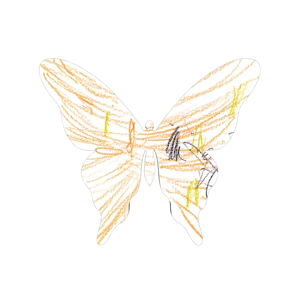 Original Butterfly Image