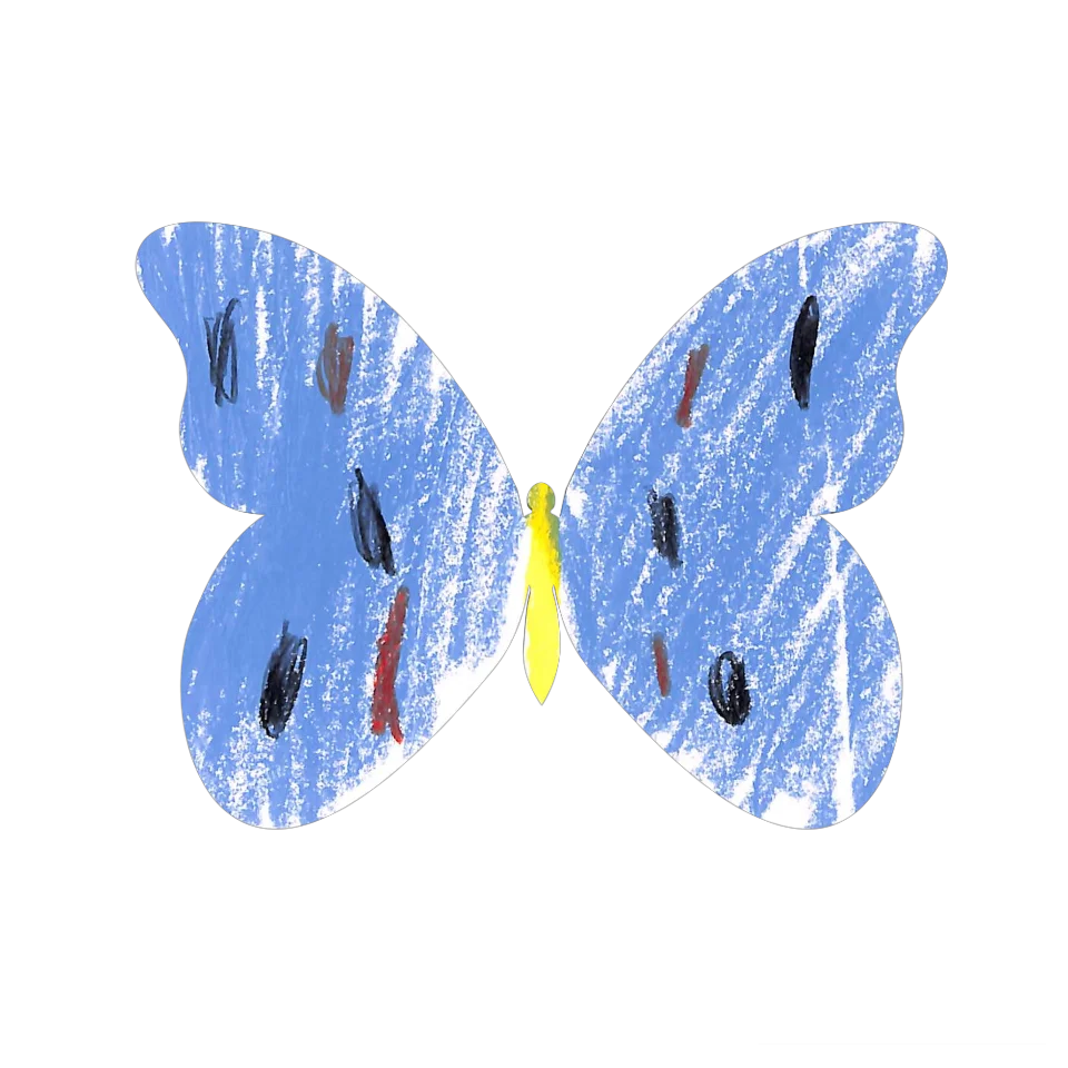 Original Butterfly Image