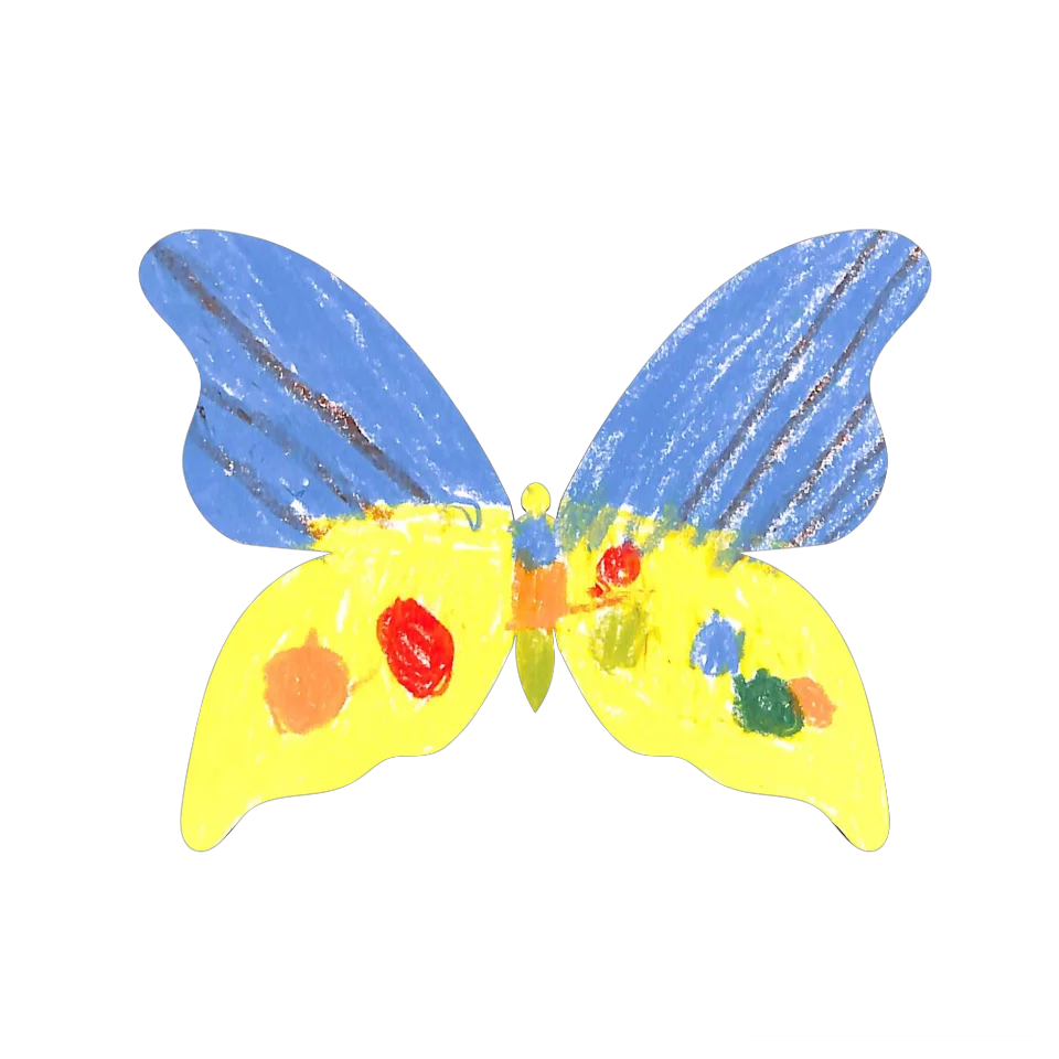 Original Butterfly Image