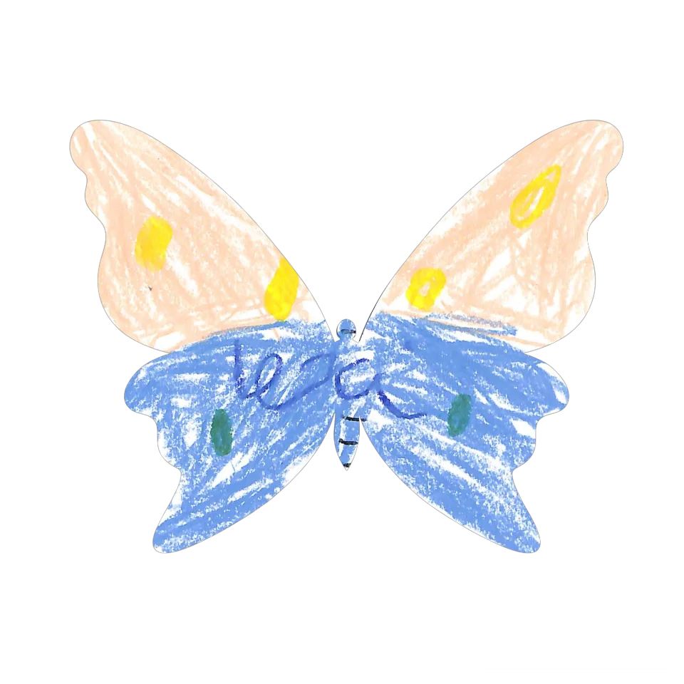 Original Butterfly Image