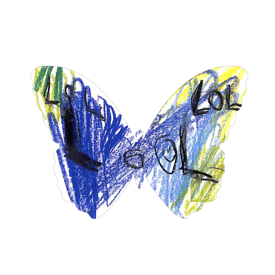 Original Butterfly Image