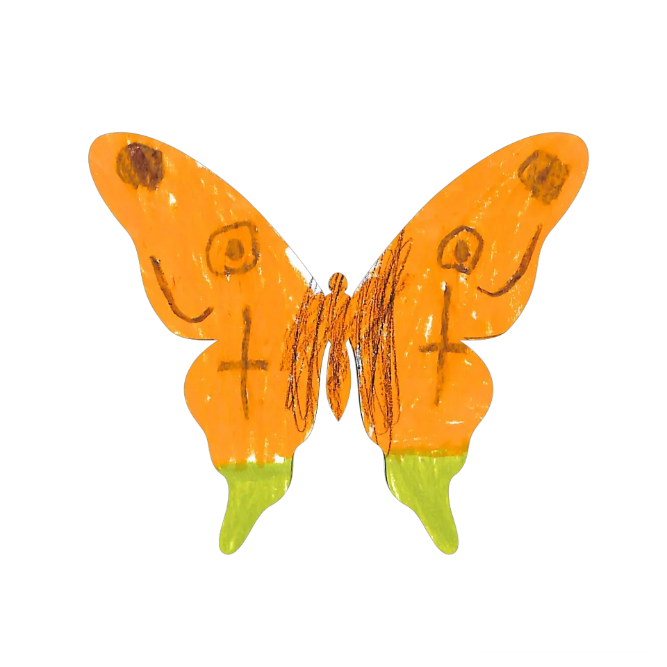 Original Butterfly Image
