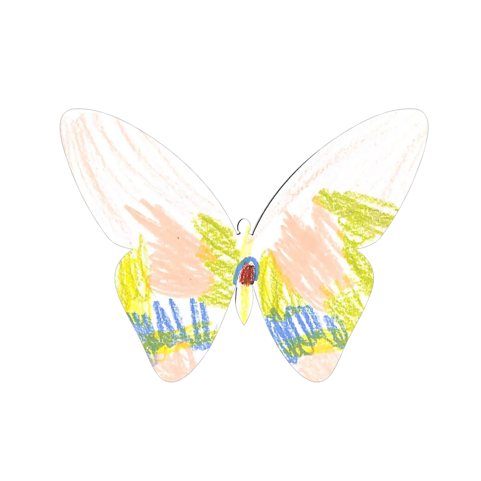Original Butterfly Image