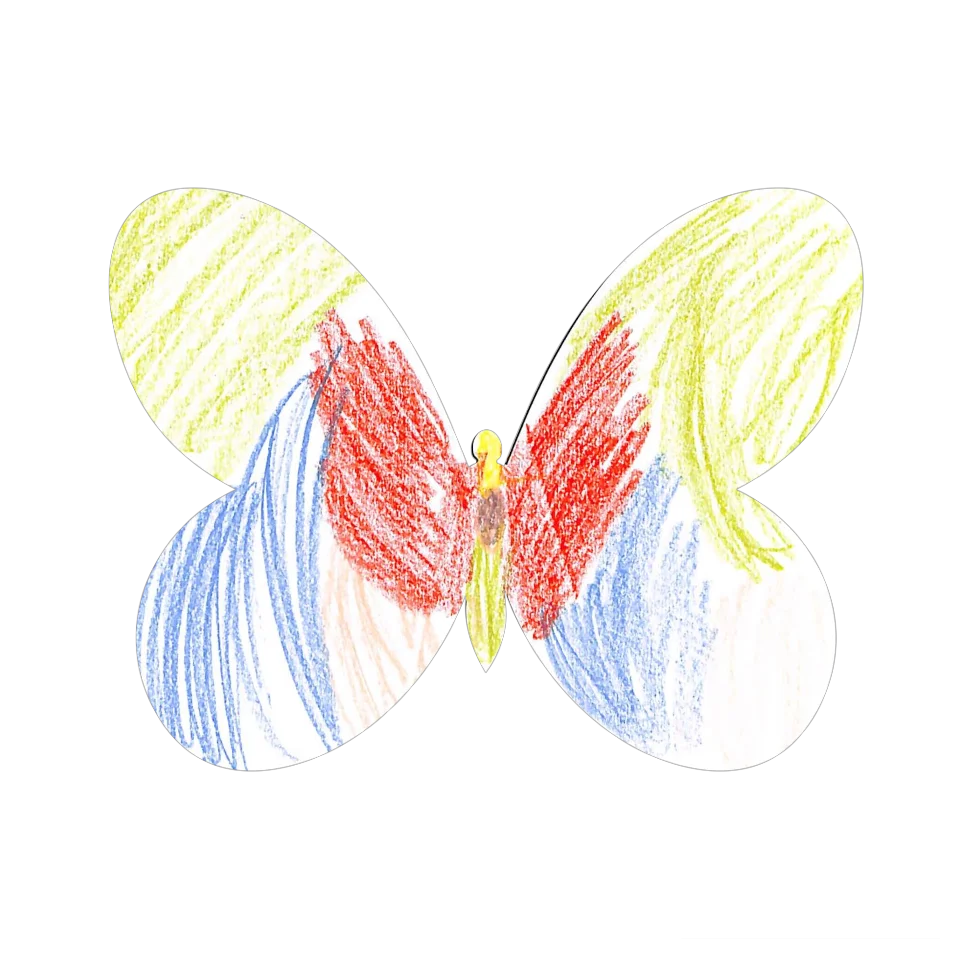 Original Butterfly Image