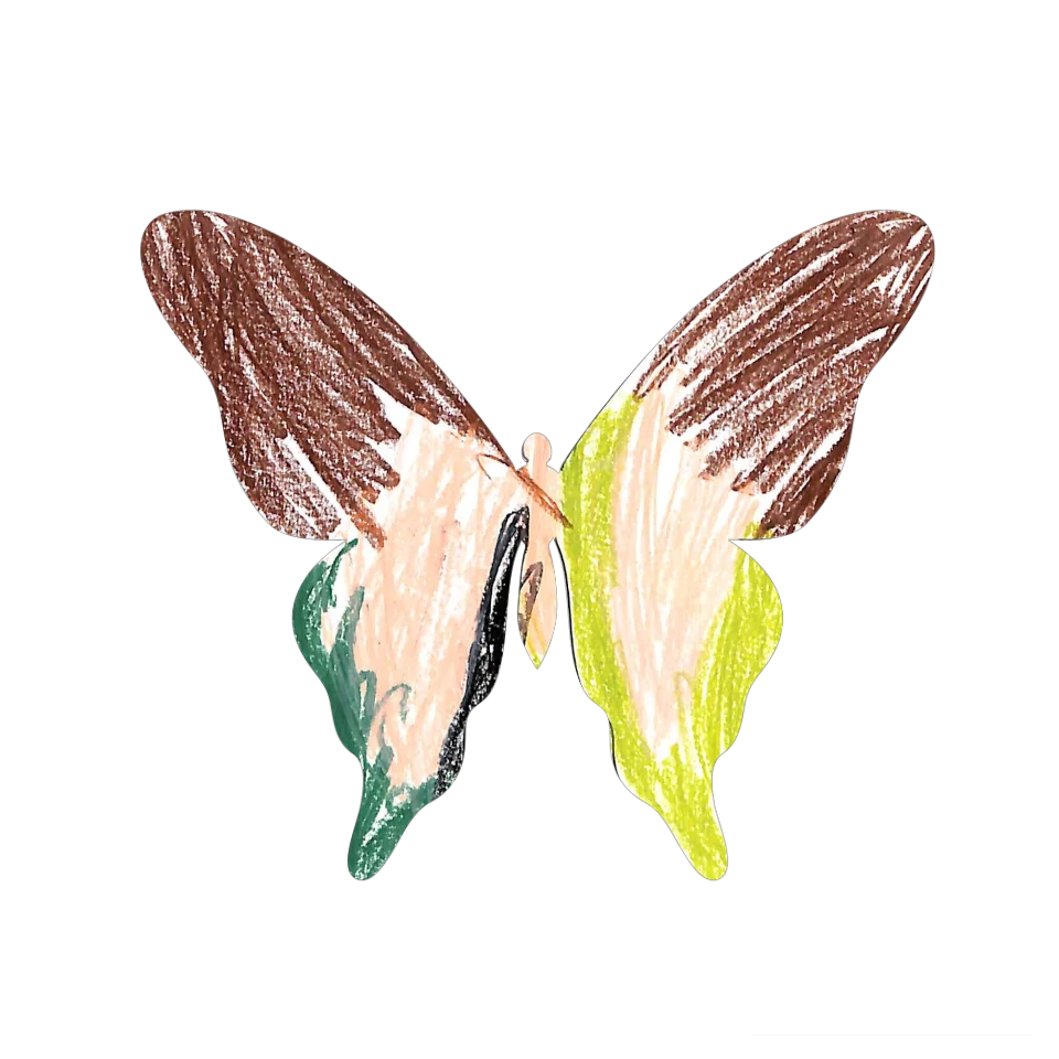 Original Butterfly Image