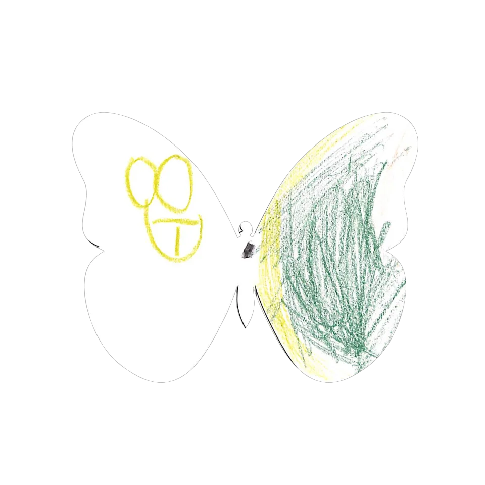 Original Butterfly Image