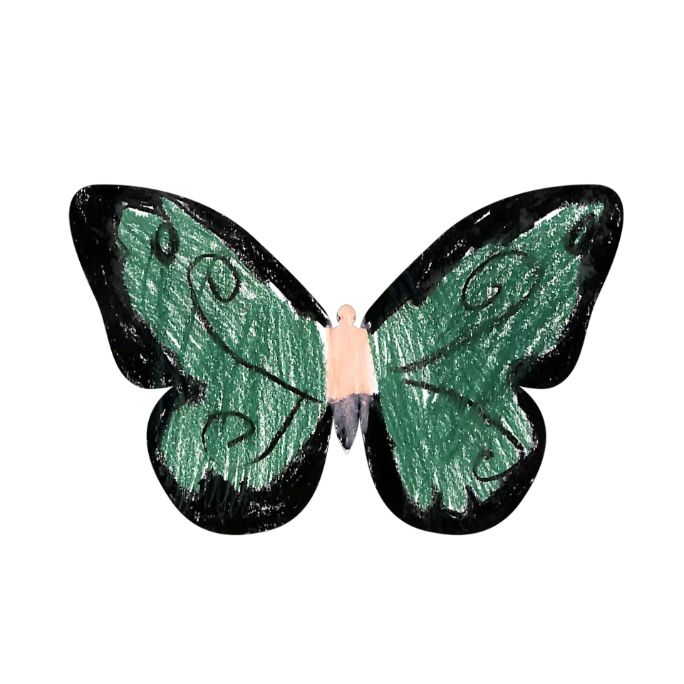 Original Butterfly Image