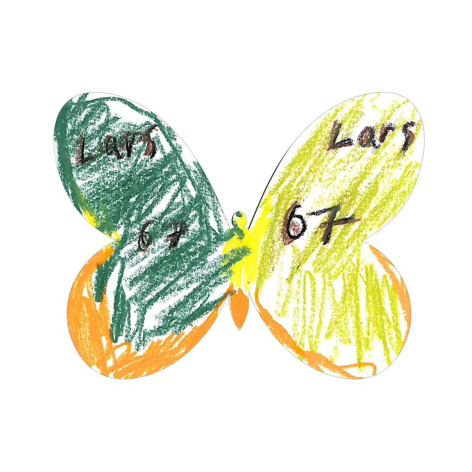 Original Butterfly Image