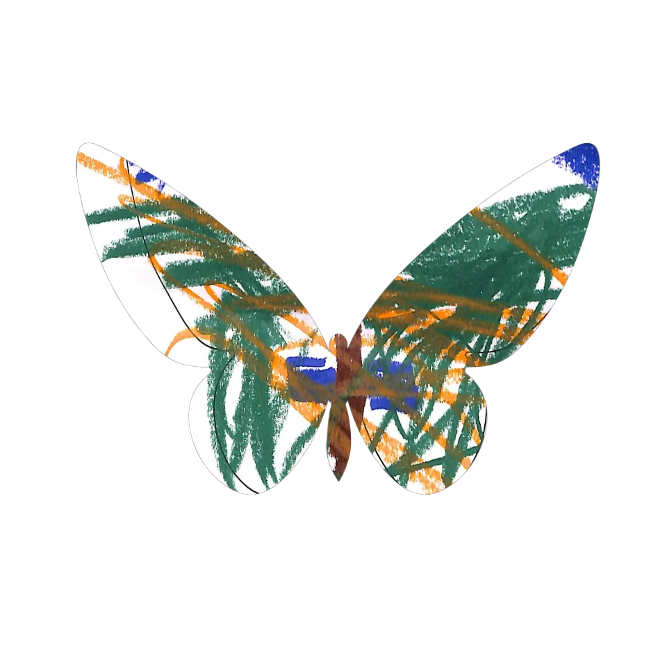 Original Butterfly Image
