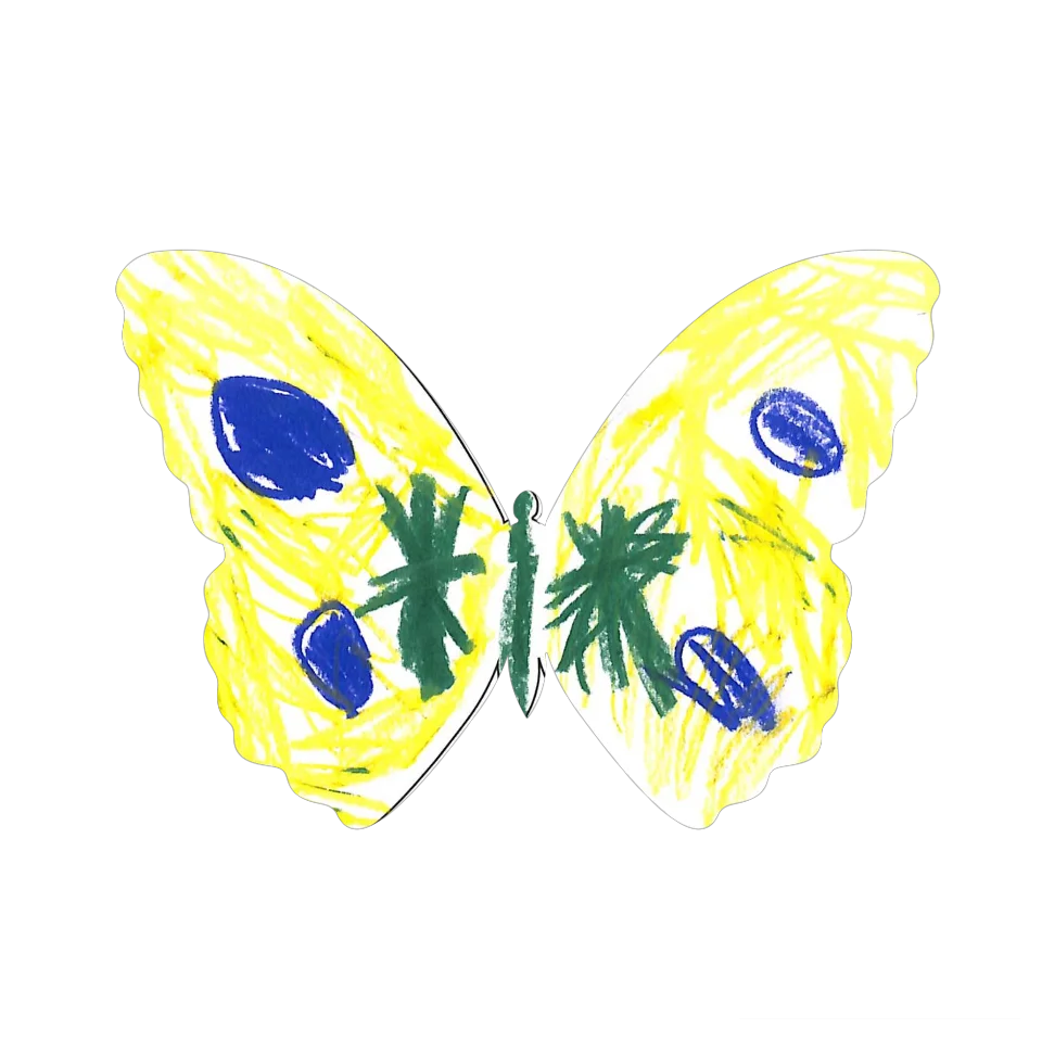 Original Butterfly Image
