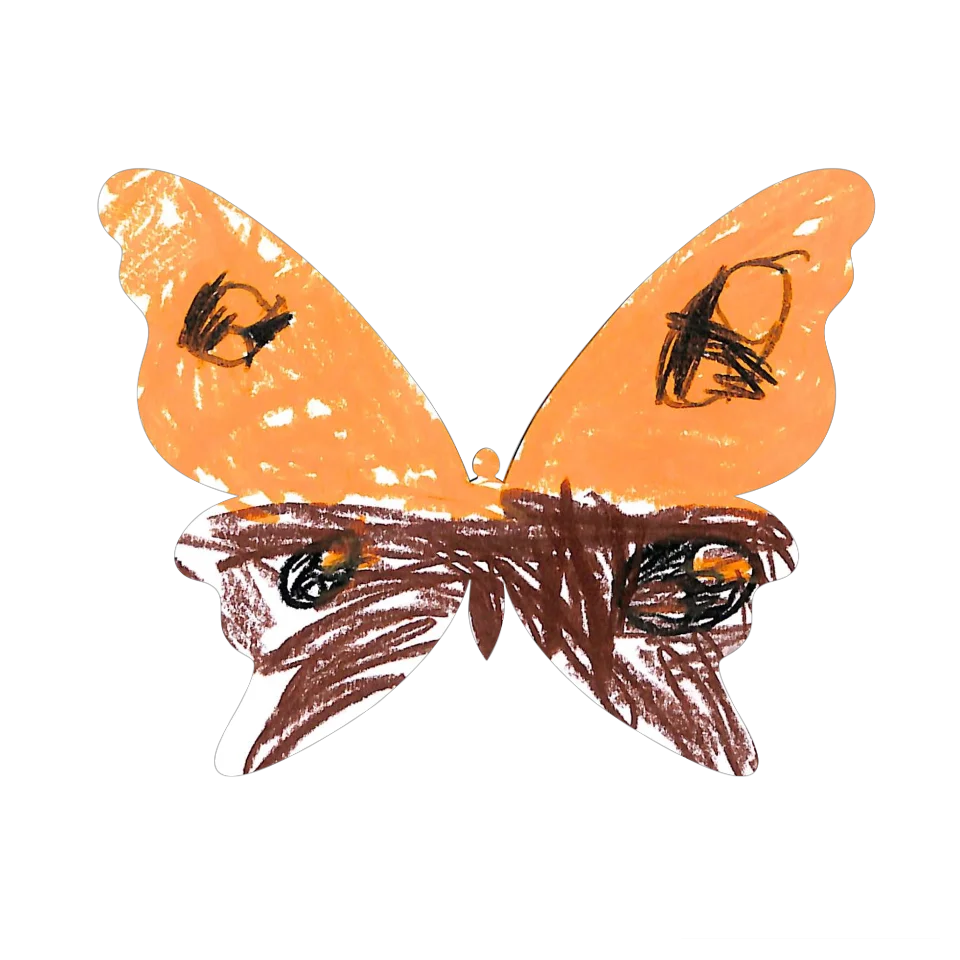 Original Butterfly Image